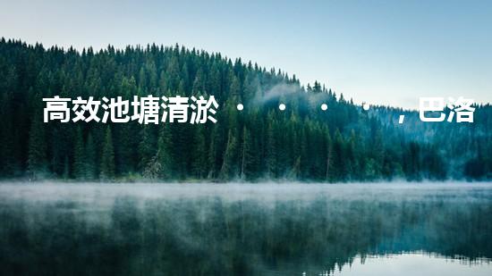 高效池塘清淤，巴洛仕設(shè)備助您一臂之力